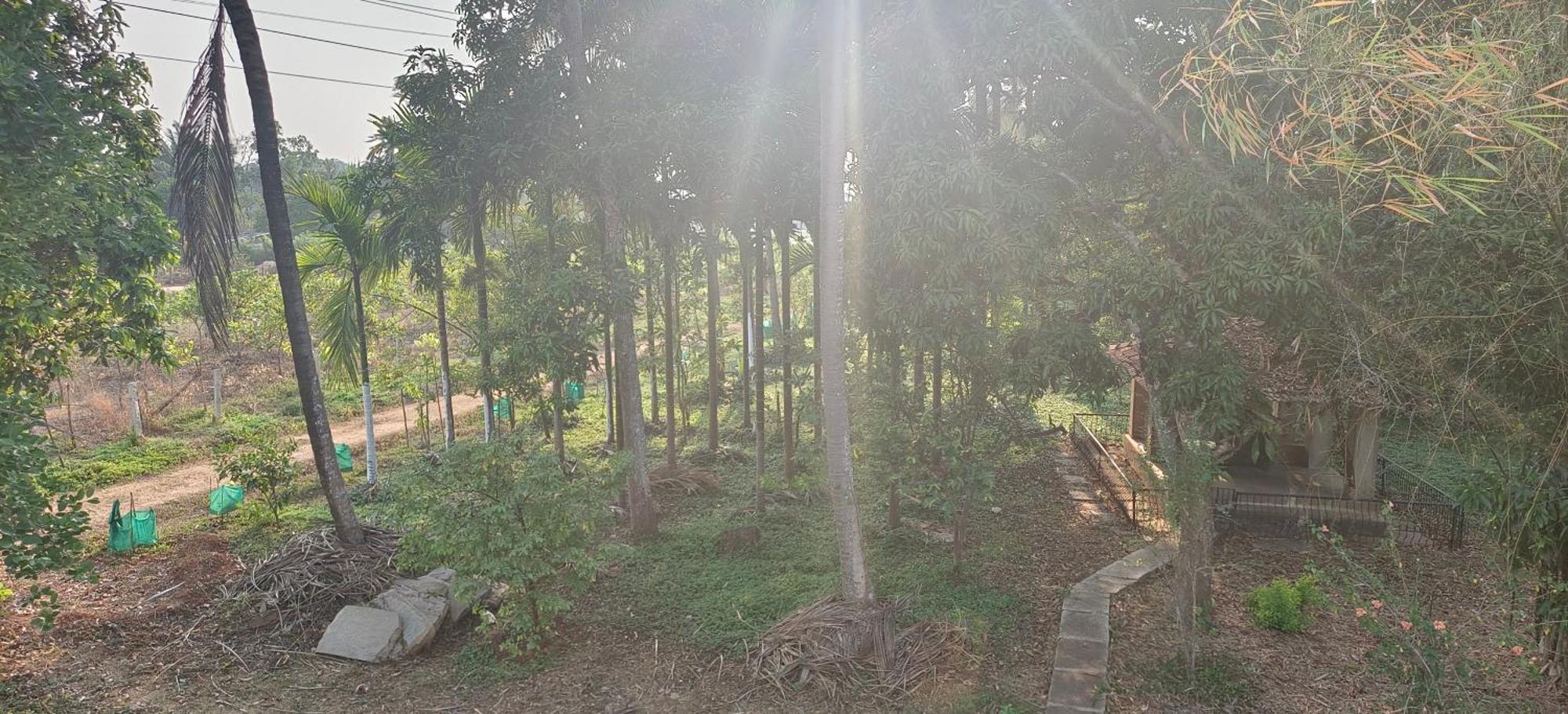 Sugamya Farm Guesthouse Sagar  Bilik gambar