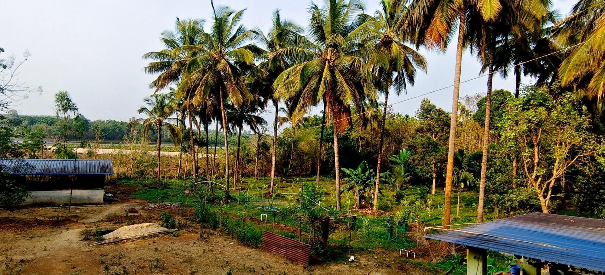Sugamya Farm Guesthouse Sagar  Luaran gambar