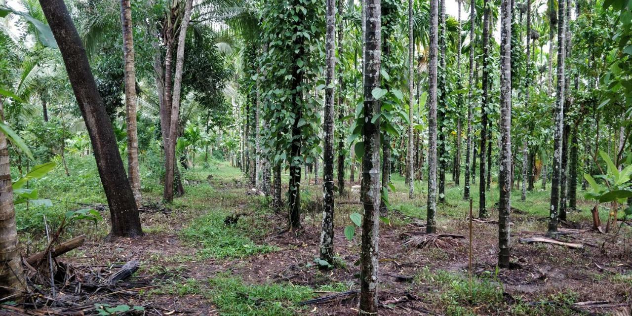 Sugamya Farm Guesthouse Sagar  Luaran gambar